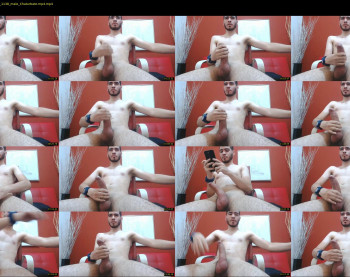 woltcrwuaboy