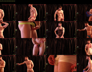 about_the_bulge