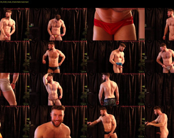 about_the_bulge