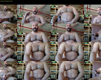 cjbbear