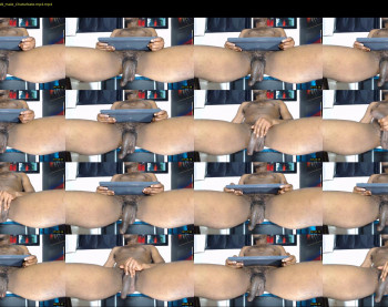 dylan_coll