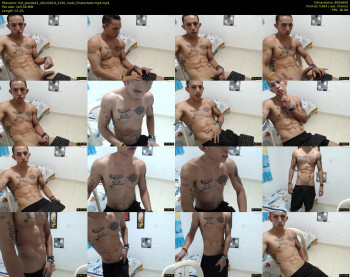 hot_panda01