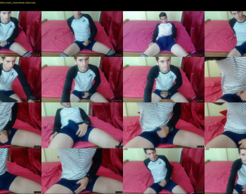 steve_curios
