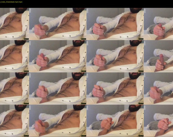 tom_7h7