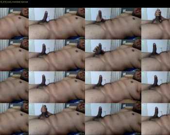bangalore_cock_