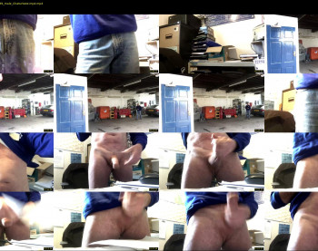 boxerblue