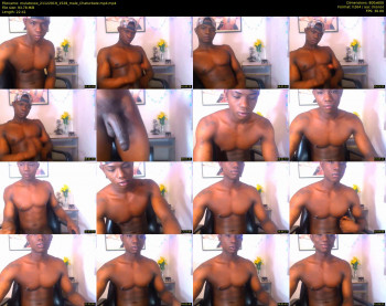 mulatoxox