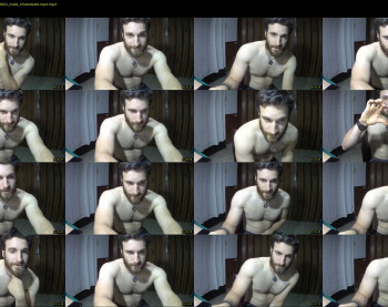 osito_blanco