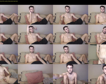 sexual_vibrations