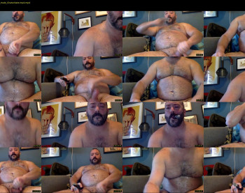 cjbbear