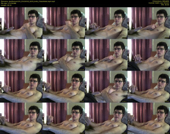 dantheman233