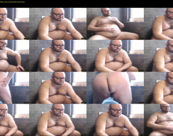 italian_bear