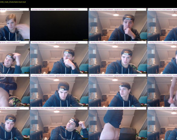 lex_swallows