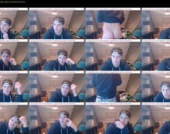 lex_swallows
