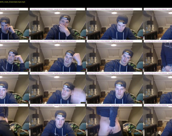 lex_swallows