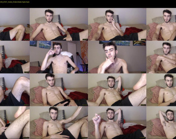 sexual_vibrations