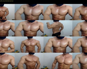 promuscles4u