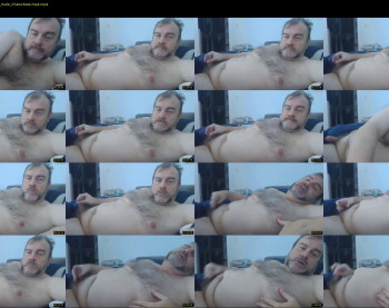 bearatx