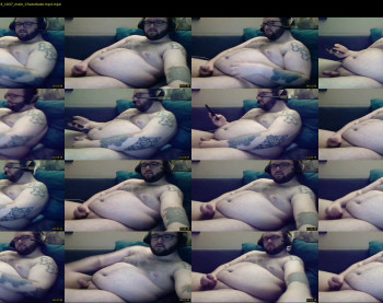 beerbellycub94