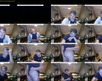 lex_swallows