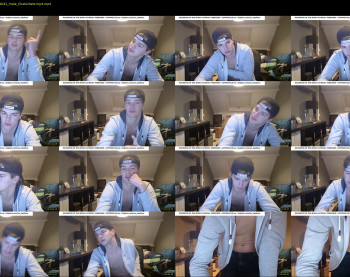 lex_swallows
