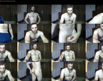 osito_blanco
