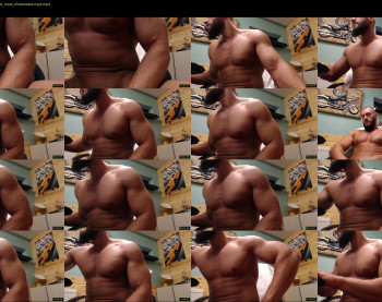 titanhunk