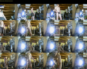 warrenstrips
