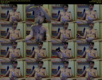 dalfox_94