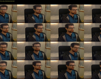 pwnforwildy