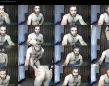 osito_blanco