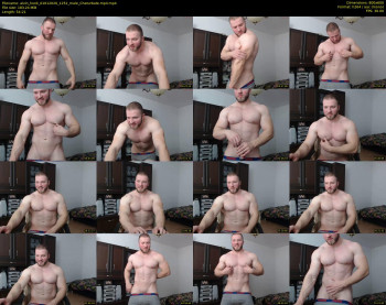 alvin_hunk