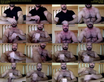 musclbear