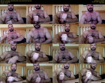 musclbear