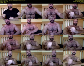 musclbear