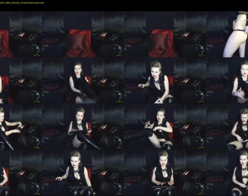 persephonechaos