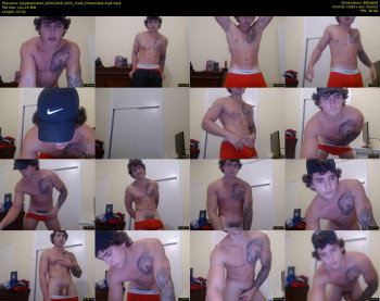 playboymateo