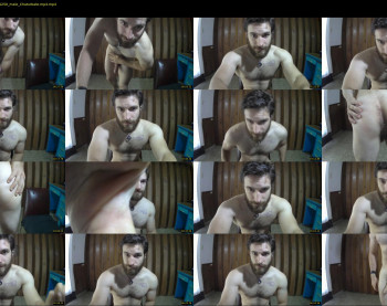 osito_blanco