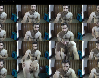 osito_blanco