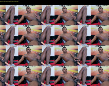 blackboy12inches