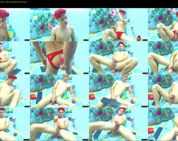 davids_gandy