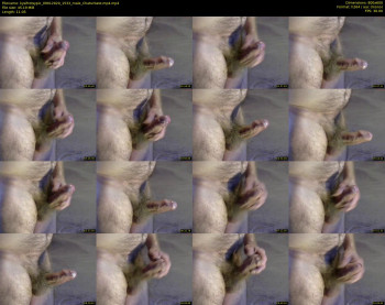kysifrotsypic