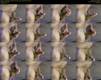 kysifrotsypic