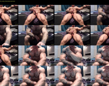 ironhulk22