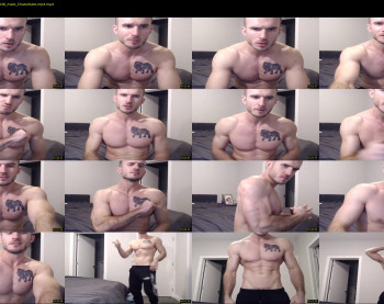mr_lionn83