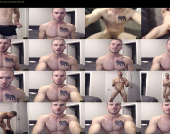 mr_lionn83