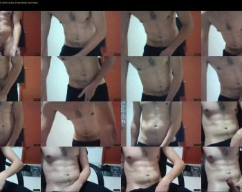 roytoyboy2222