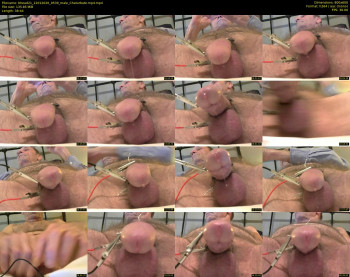 bhead21
