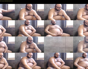 italian_bear
