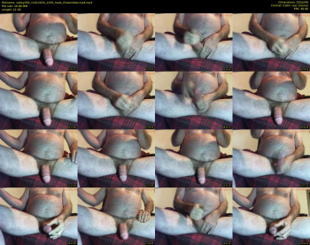 vaboy356